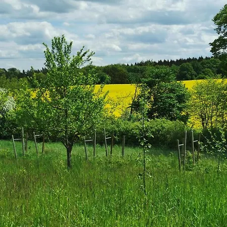B&B In Der Ciderwirtschaft